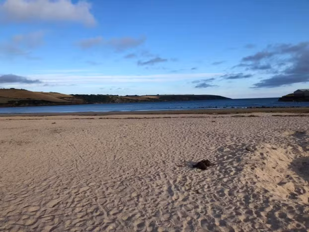 Rác thải nhựa nói chung và ống hút nói riêng có tuổi thọ còn lớn hơn cả con người, khi bị vứt ra ngoài môi trường, sẽ âm thầm giết hết môi trường sống của các sinh vật biển, về lâu dài ảnh hưởng cả gián tiếp và trực tiếp tới con người.