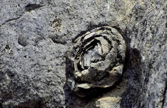 Nhìn từ xa, du khách sẽ thấy những bông hoa đá dính chặt trên nhiều mỏm đá khác nhau, có hàng trăm bông hoa nở rộng, trông rất sống động. Cảnh quan kỳ lạ và bí ẩn này khiến nhiều du khách tò mò kéo đến chiêm ngưỡng.