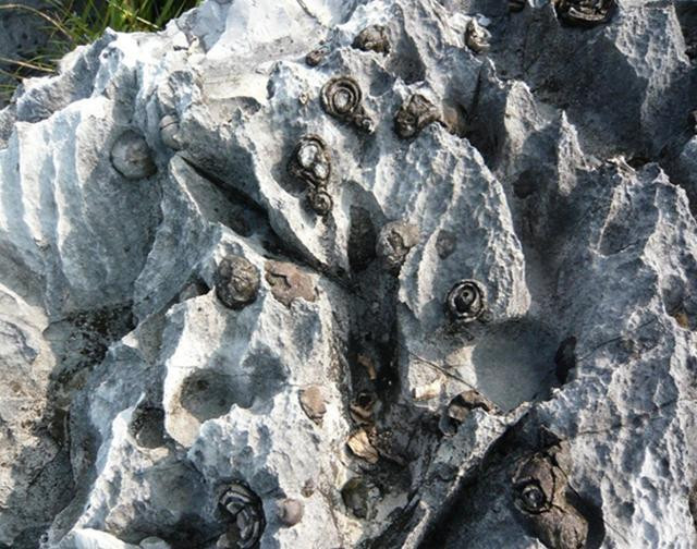 Trên thế giới có nhiều hiện tượng thiên nhiên kỳ bí mà con người không thể giải thích được. Ở trên ngọn núi Changshou ở Du’an, Hechi, tỉnh Quảng Tây, Trung Quốc có một cảnh quan địa chất hiếm thấy, đó là hoa đá nở rộ.