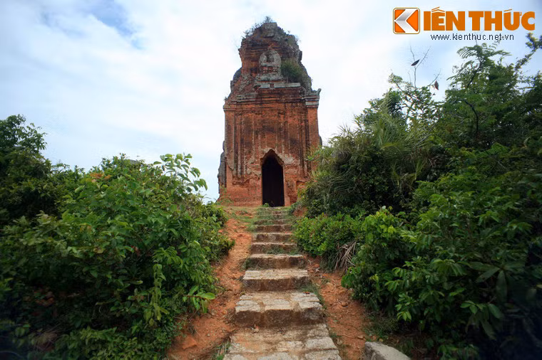 So với một số tòa tháp Chăm khác ở Bình Định, tháp Phú Lốc có quy mô không lớn. Bình đồ tháp hình vuông mỗi chiều đo được 9,7m. Toàn tháp cao khoảng 15m.