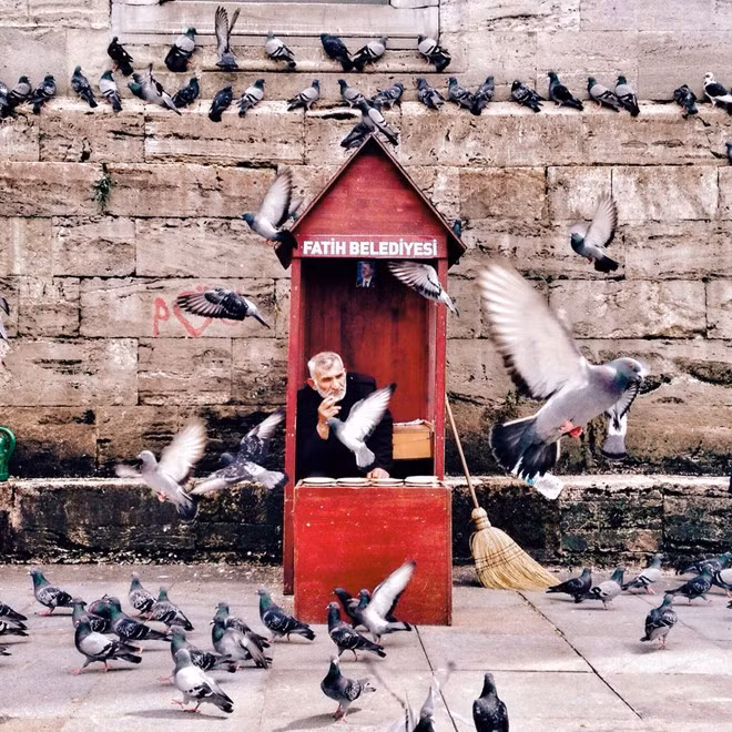 Khung cảnh thanh bình này mang đến giải nhất cho nhiếp ảnh gia Song Han ở hạng mục "con người".