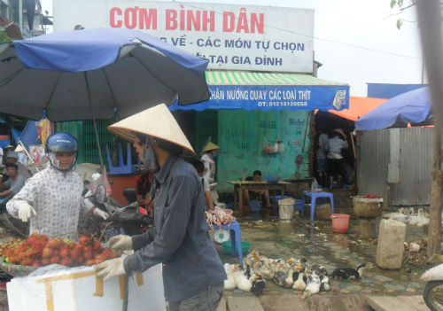 Ngay trước cửa quán cơm này là khu vực bày bán và giết mổ gia cầm sống, mất vệ sinh.