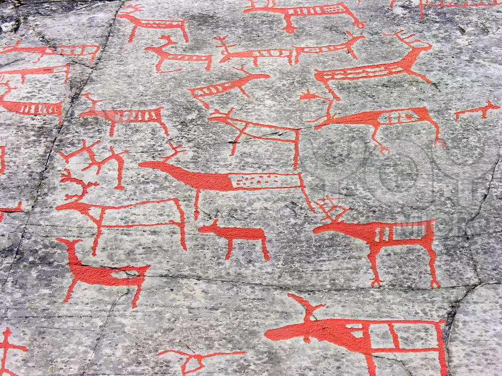 Cho đến nay, đã có trên 5.000 hình khắc được tìm thấy tại di chỉ khảo cổ Alta.