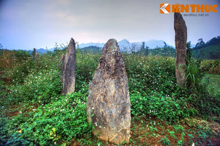 Loại đá dùng để dựng mộ là loại đá xanh được lấy từ Thanh Hóa. Cột đá to nhất được ghi nhận ở nơi đây có chiều rộng hơn 1m, cao khoảng 4m.