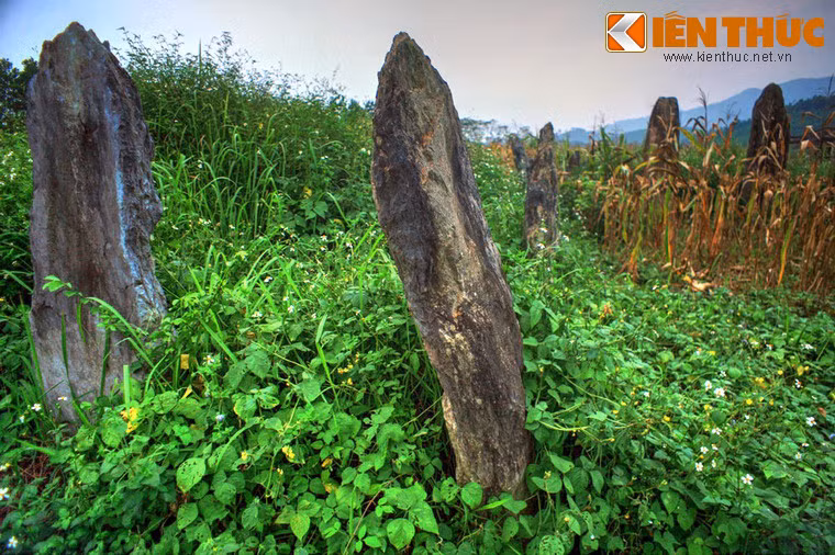 Vùng đất này có địa thế, hình dáng miệng rồng, một thế đất tốt theo quan niệm thuật phong thuỷ ngày xưa.