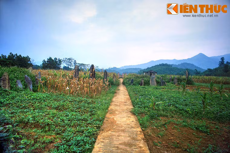 Có từ thế kỷ 17, khu mộ cổ Đống Thếch (xã Vĩnh Đồng, huyện Kim Bôi, Hòa Bình) là một di sản văn hóa đồ sộ và hết sức quý giá mà người dân tộc Mường ở khu vực này đã để lại cho hậu thế.