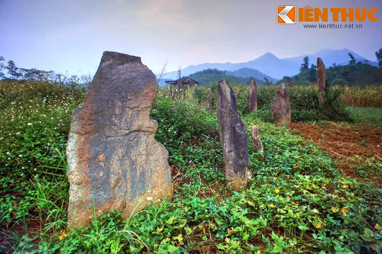 Theo các sự liệu để lại, chủ nhân của khu mộ cổ Đống Thếch là dòng họ Đinh Công - dòng họ Mường cai quản xứ Mường Động, một trong những phên dậu phía Tây bảo vệ kinh thành Thăng Long.