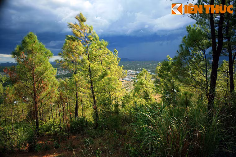 Sách Đại Nam nhất thống chí của Quốc sử quán triều Nguyễn viết: "Ở phía Đông Bắc Hương Thủy, nổi vọt lên ở quãng đất bằng như hình bức bình phong làm lớp án thứ nhất trước Kinh thành Huế, tục gọi là núi Bằng, đời Gia Long đặt cho tên hiện nay (Ngự Bình), đỉnh núi bằng phẳng, khắp nơi trồng thông". Ảnh: Trên đỉnh núi Ngự.