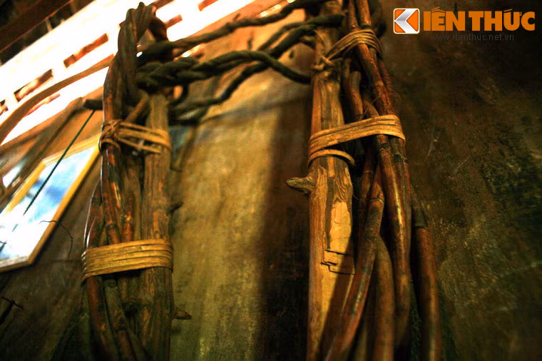 Thòng lọng có gai dùng để kẹp cổ voi con khi đang trong quá trình thuần dưỡng.