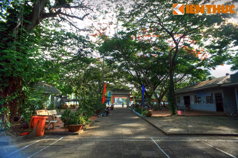 Năm 1951, do hoàn cảnh chiến tranh, Văn Thánh Miếu ngưng hoạt động và hoang phế từ đó.