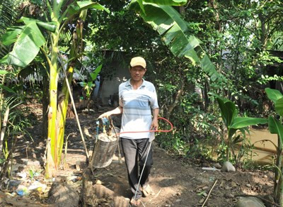 Với 3 công đất vườn, anh Nguyễn Văn Tác - cha Ánh Viên - trồng cây lâu năm như sầu riêng, cam...