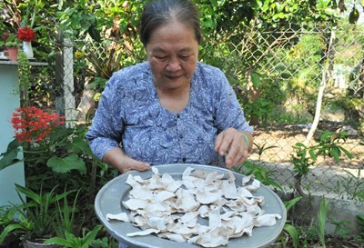 Còn đây là món ăn trưa của cụ Bảy - khoai cao phơi khô chiên giòn.