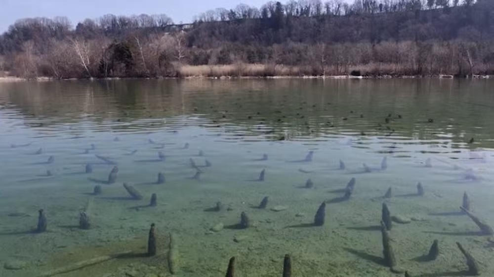 Đây là tập hợp của 111 địa điểm khảo cổ, thuộc 30 nhóm văn hóa trong tổng số 937 địa điểm, thuộc 6 quốc gia quanh dãy núi Alpes là Thụy Sĩ, Áo, Pháp, Đức, Italia, Slovenia.