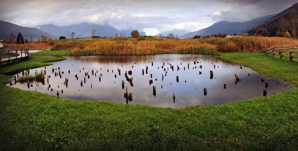 Địa điểm xây dựng là ven các sông hồ và các vùng đất ngập nước.