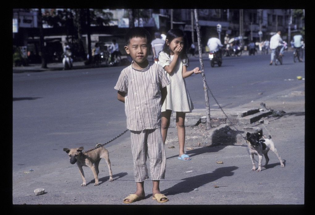 Hai em bé dắt chó đi dạo gần cầu chữ Y.