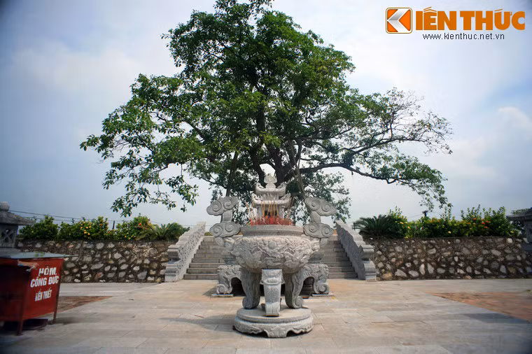 Tuy nhiên, sau những biến động lịch sử, lăng đã dần dần rơi vào cảnh đổ nát và hoang phế. Đến thập niên 1960, trong lăng chỉ còn một tượng hổ và một tượng đá vỡ không rõ hình thù, có thể là tượng Huyền Vũ theo truyền thuyết dân gian.