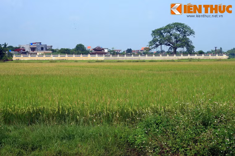 Trong lịch sử Việt Nam, Trần Thủ Độ là một quyền thần có vai trò lớn trong việc họ Trần đoạt ngôi nhà Lý. Ông là người nắm quyền thực tế của triều Trần trong khoảng thời gian dài, từ 1226 đến khi ông qua đời vào năm 1264.