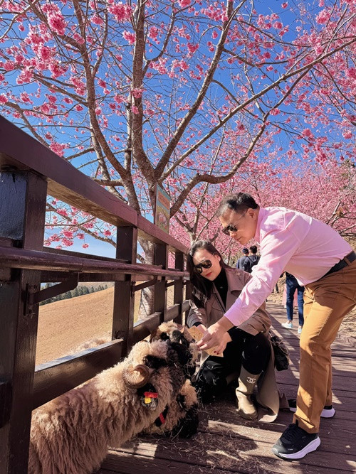 Từ trong bụng mẹ, bé Jenny và Jimmy đã được đi du lịch nước ngoài.