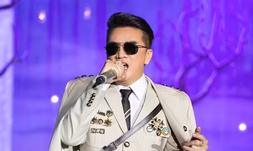 Bo Van hoa vao cuoc vu Dam Vinh Hung deo huy hieu “la”