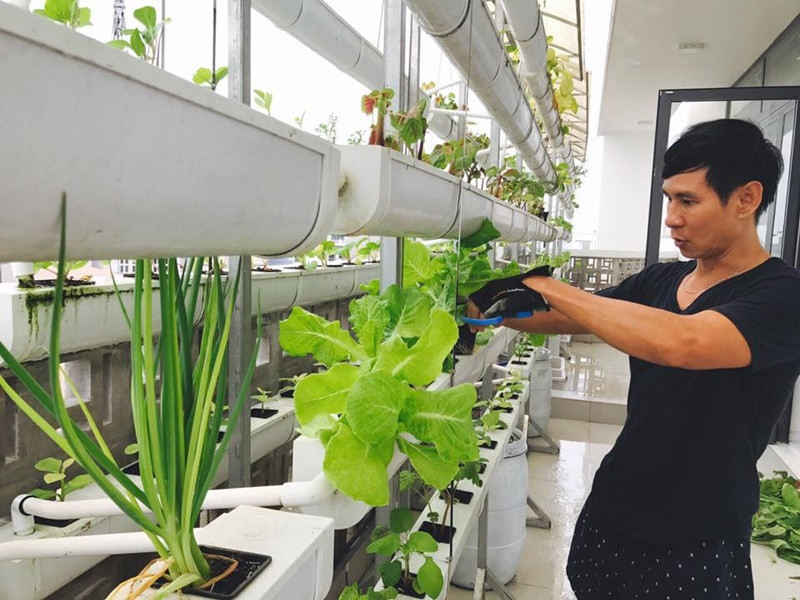 Deu giau co, Tran Thanh song xa hoa, Ly Hai gian di kho tin