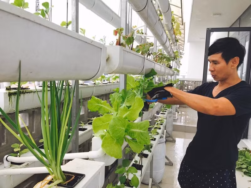  Lý Hải xuất thân nghèo khó. Đến khi nổi tiếng, nam đạo diễn vẫn có lối sống bình dân. Đi diễn hay đi đâu, nếu không có ô tô đưa đón, Lý Hải chẳng ngại ngần đi xe ôm. Ngoài ra, Lý Hải vẫn ăn cơm bụi, quán lề đường hay nơi nào tiện nhất có thể.