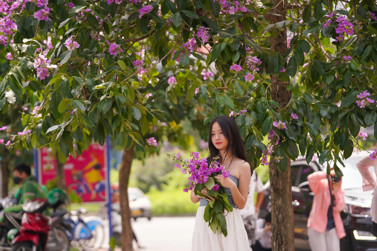 Tại đường Hoàng Cầu, nhiều bạn trẻ tranh thủ ghi lại khoảnh khắc đẹp của hoa bằng lăng.