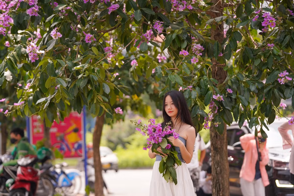 Tại đường Hoàng Cầu, nhiều bạn trẻ tranh thủ ghi lại khoảnh khắc đẹp của hoa bằng lăng.