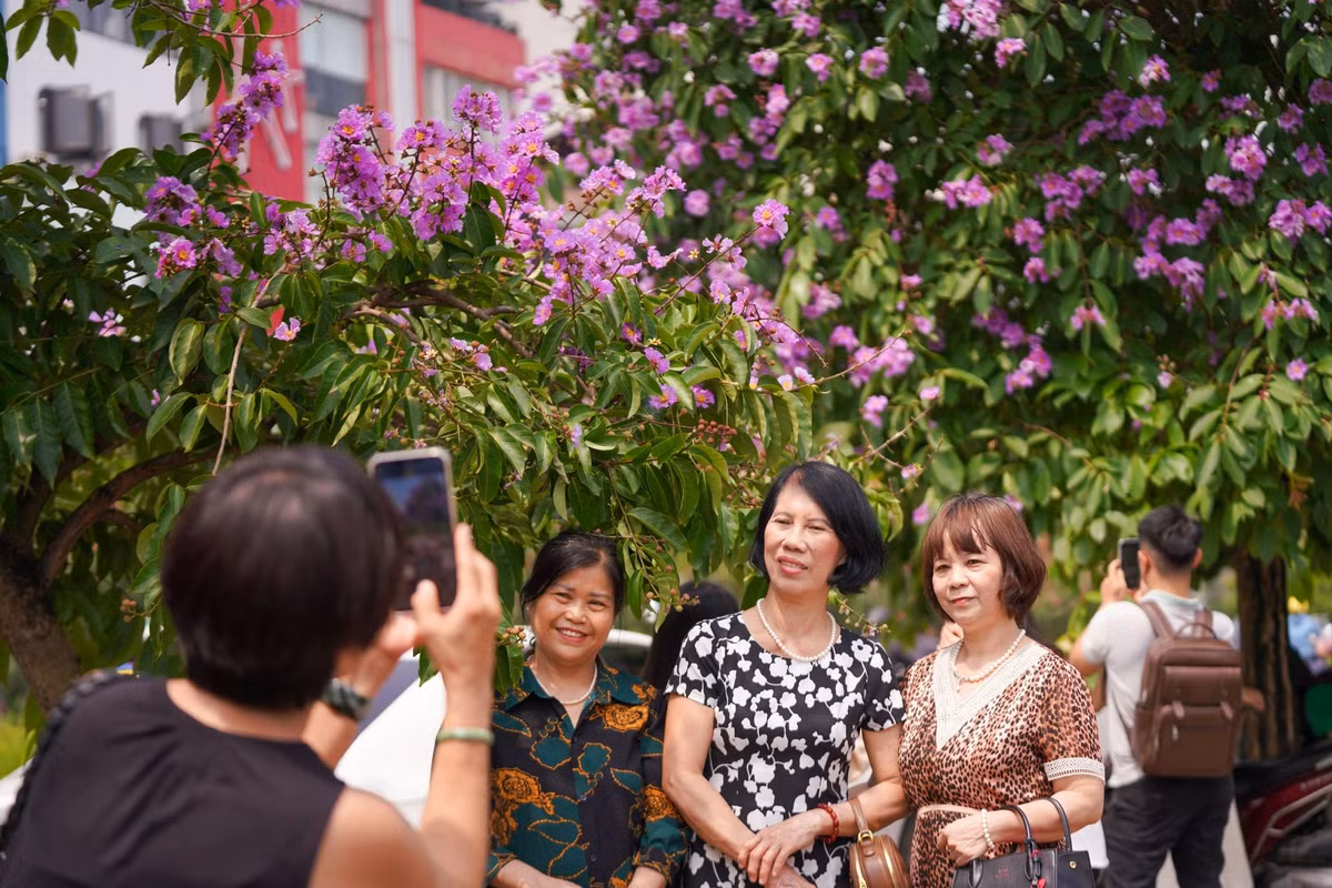 Ven các con phố của Hà Nội có hoa bằng lăng, nhiều người dân ghi lại hình ảnh của mình và bạn bè với hoa bằng lăng.
