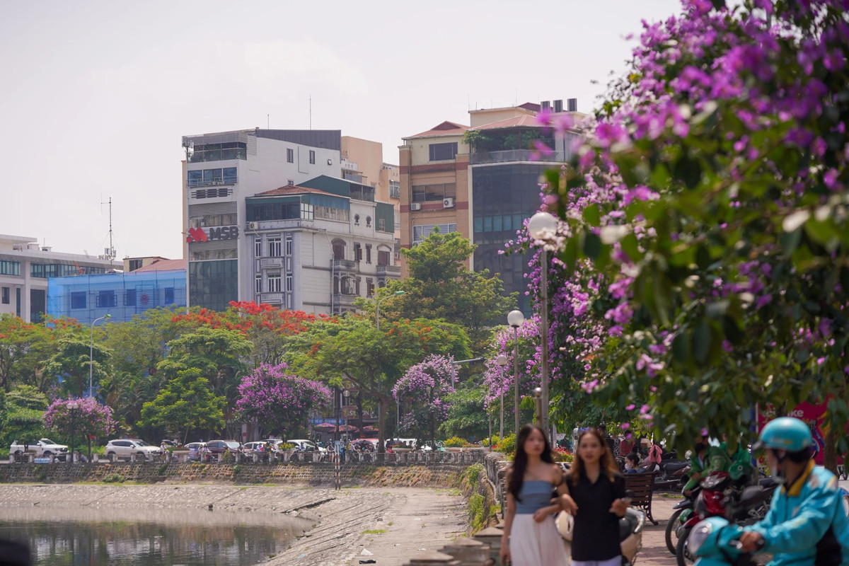 Hình ảnh ghi lại vào sáng 14/5.