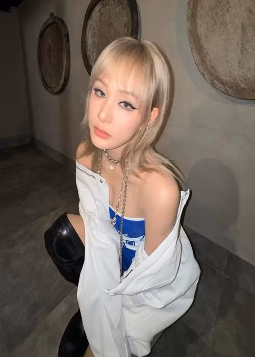 Trước việc đồng nghiệp bị vạ lây, Hiền Hồ cho biết: “Bây giờ ai bênh hay nói gì về tôi đều bị mọi người phản ứng, thật sự rất tội. Nhưng tôi cũng không biết phải làm sao, chỉ biết đứng nhìn xuôi theo dòng nước".