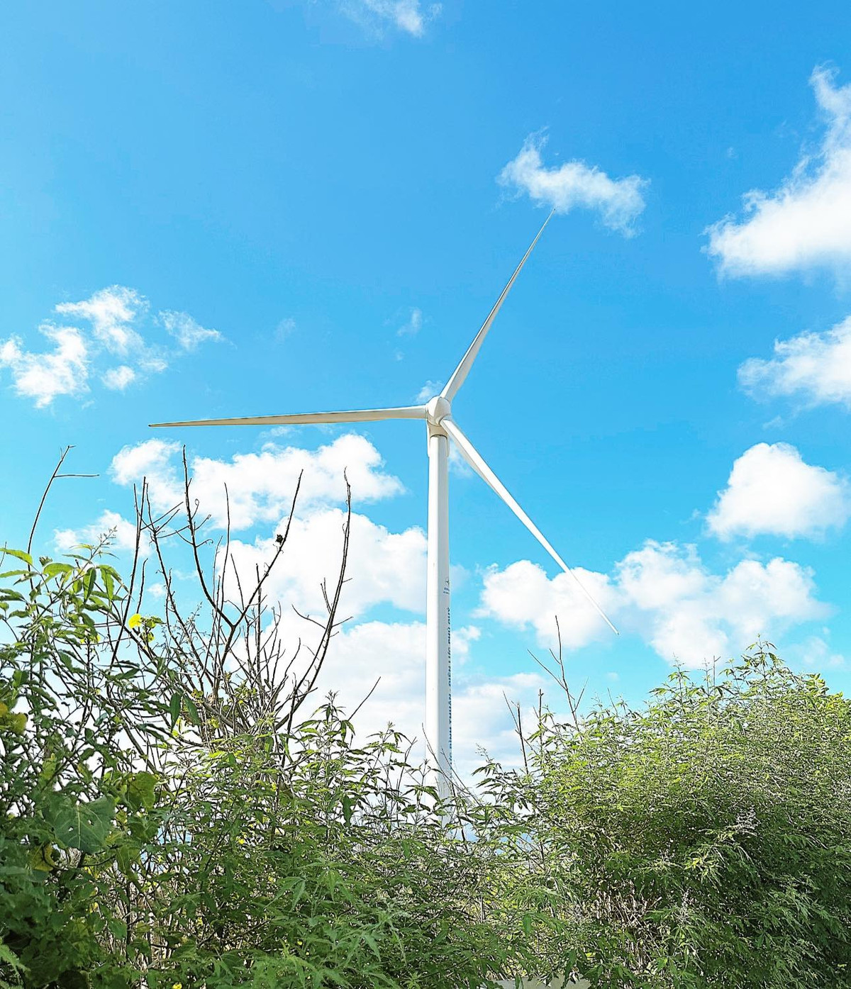 Ẩm thực tại Phú Quý cũng là một điểm nhấn trong chuyến đi của nhóm bạn. Họ đã thưởng thức món bò nhúng giấm thơm ngon tại quán Hoà Thướng, trải nghiệm không gian lãng mạn với khung cảnh hoàng hôn trên biển tại Sea La Vie, và thưởng thức các món hải sản tươi ngon như cá kho, canh chua, tôm sốt thái,... tại quán BBQ Bãi Cạn và quán Phố Biển. Đặc biệt, họ còn được chủ quán BBQ Bãi Cạn nhiệt tình set up loa để hát hò vào buổi tối, tạo nên bầu không khí vui vẻ và sôi động.