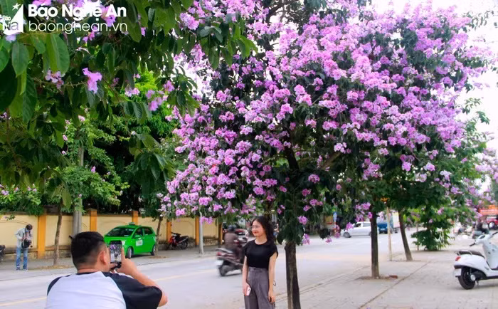 Nhiều người đến lưu giữ những khoảnh khắc đẹp. Ảnh: P.V
