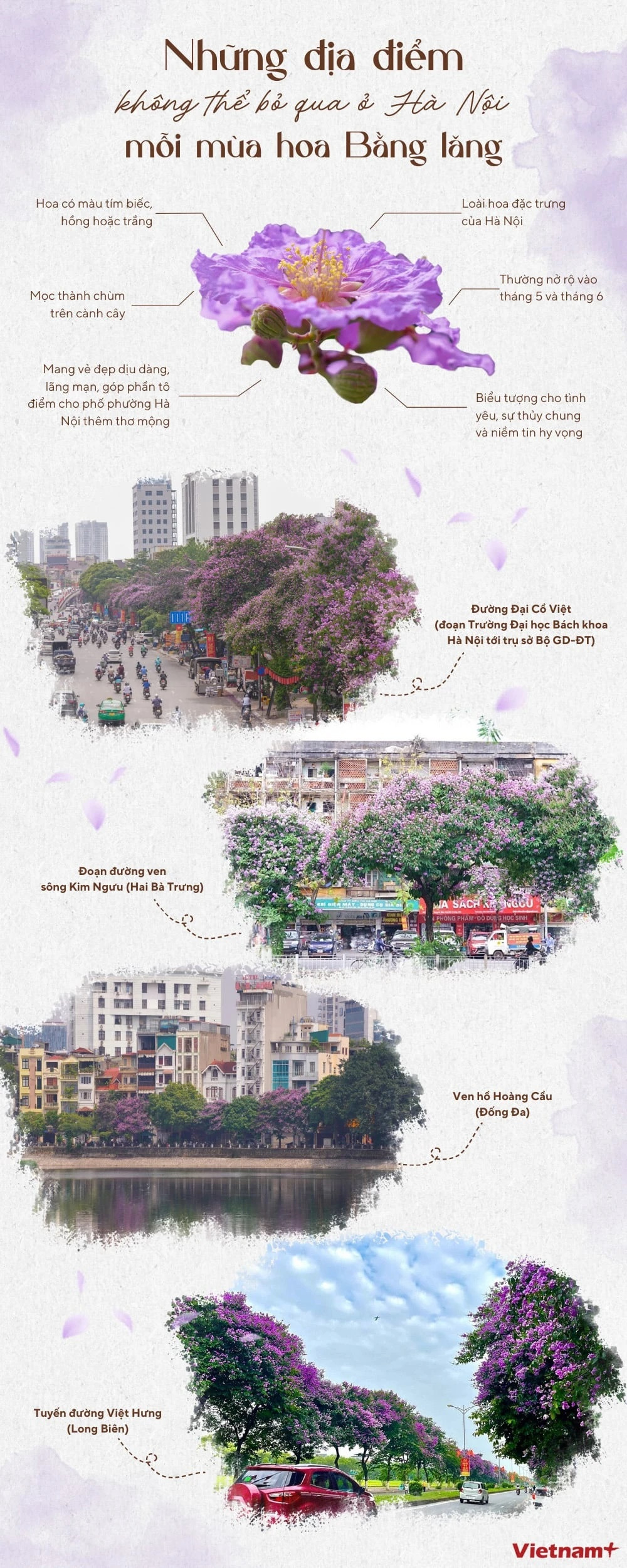 Nhung dia diem tuyet dep o Ha Noi mua hoa bang lang