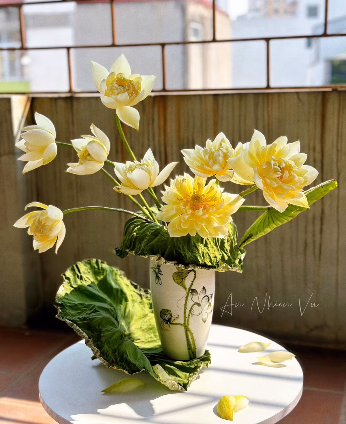 Bình sen vàng lạ mắt với mùi thơm dịu nhẹ. Ảnh: An Nhien Vu