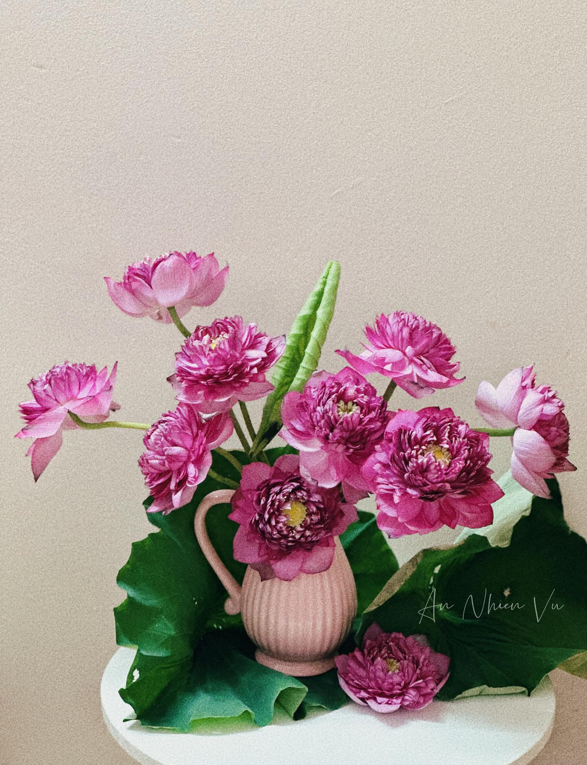 Bình sen 3 ngày tuổi nhưng vẫn hết sức rực rỡ. Ảnh: An Nhiên Vũ