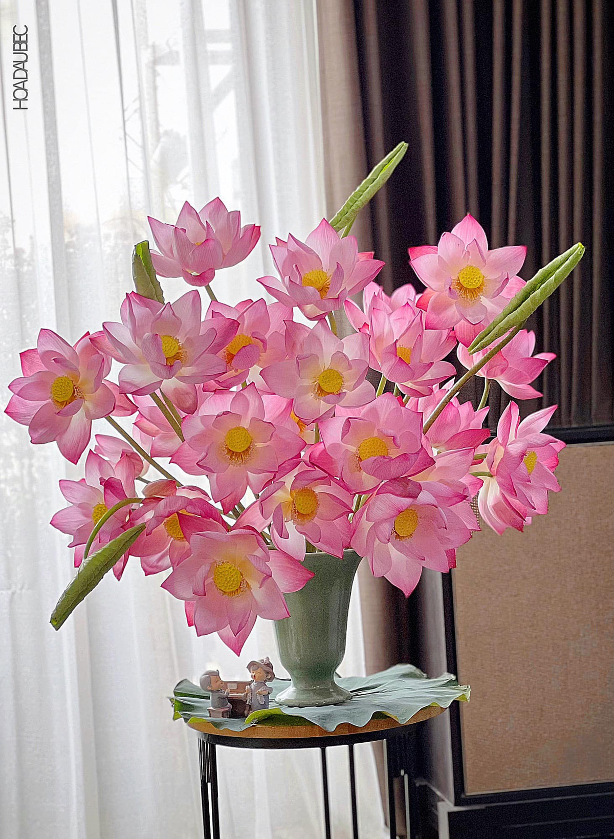 Những bông sen hồng truyền thống luôn cuốn hút. Ảnh: Hoa Đậu Biếc