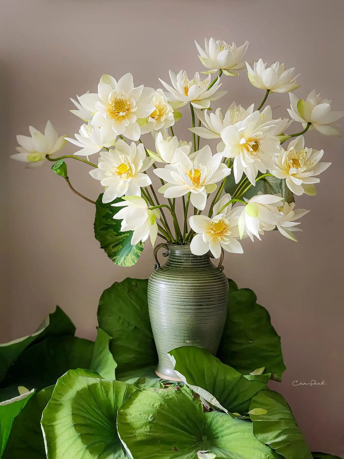 Để bình sen được đẹp mắt hơn các chị em có thể trang trí bằng lá sen ở xung quanh. Ảnh: Cam Sành