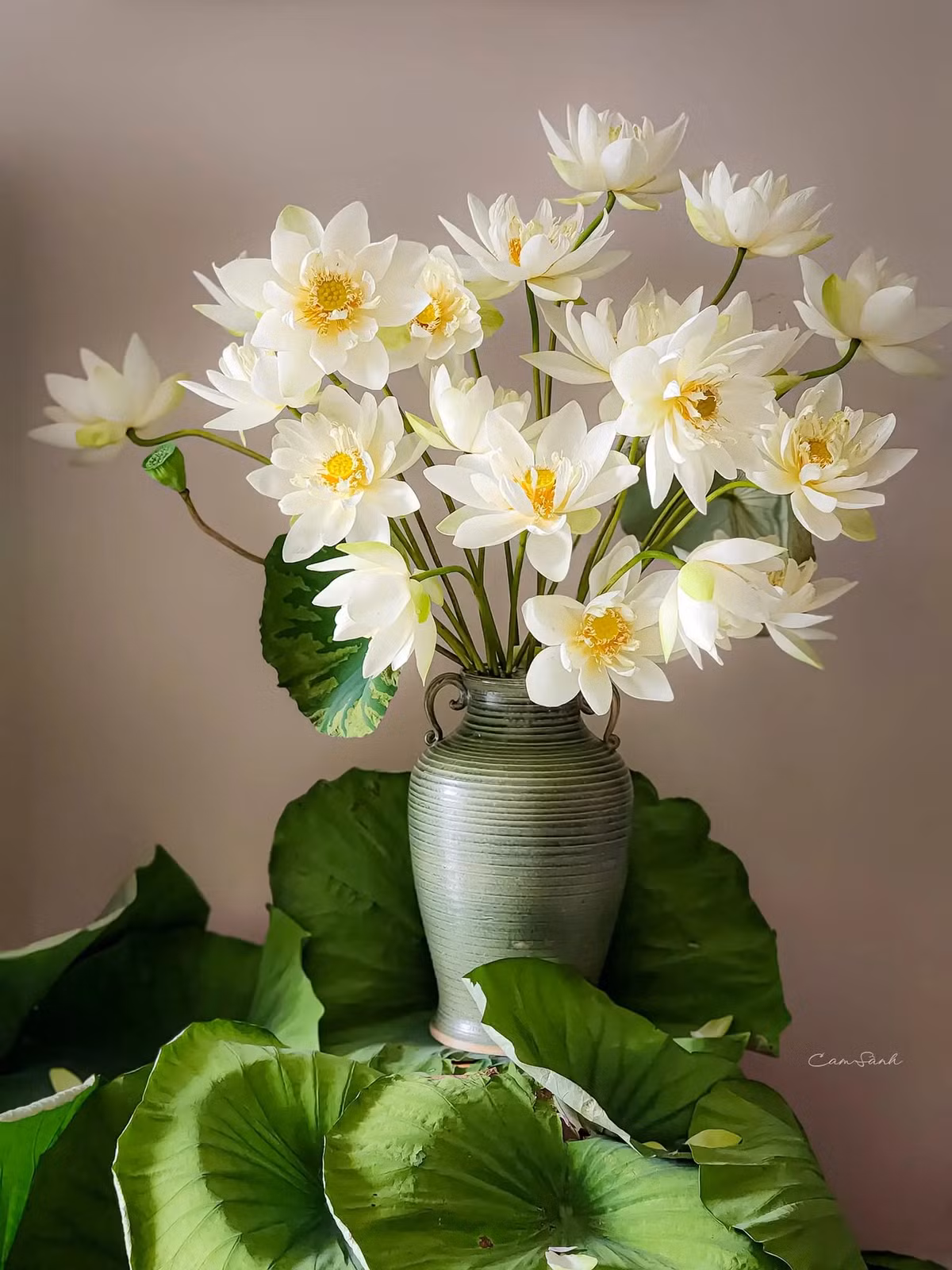 Để bình sen được đẹp mắt hơn các chị em có thể trang trí bằng lá sen ở xung quanh. Ảnh: Cam Sành