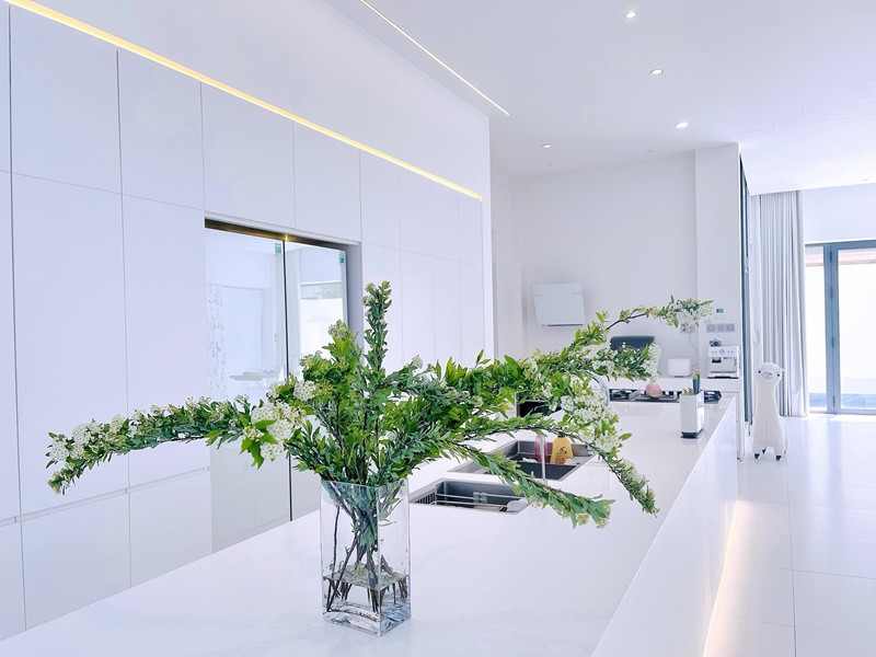 Thuy Tien khoe biet thu trang ngap tran hoa no