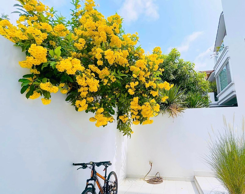 Có vẻ như cuộc sống của Thủy Tiên đang đầy bình yên, hạnh phúc.