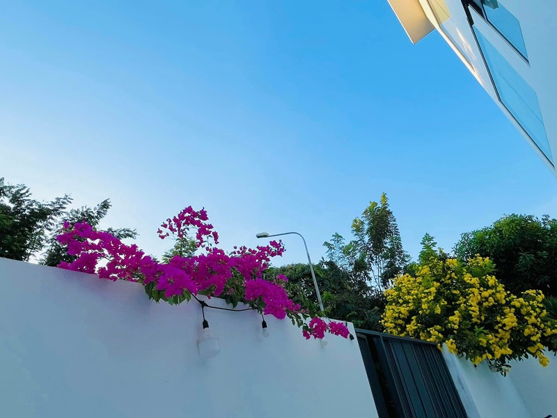 Giọng ca Giấc mơ tuyết trắng đăng tải loạt ảnh biệt thự trắng ngập tràn hoa nở.