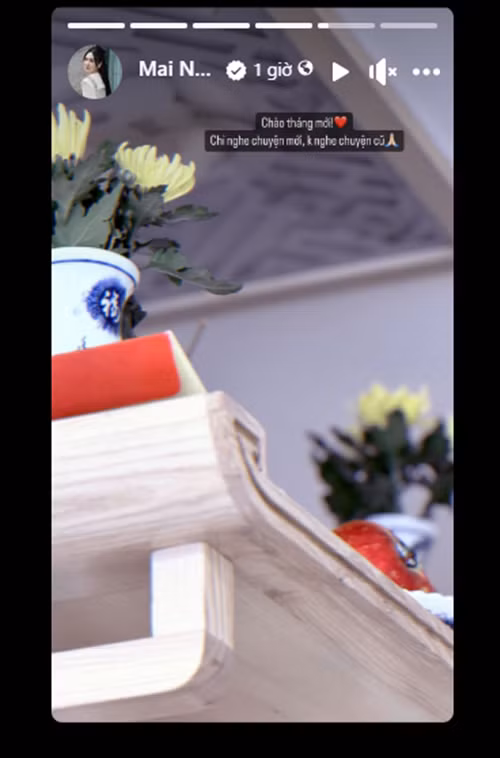 Trước tin đồn về Hoài Nam, nhiều người tò mò phản ứng của Mai Ngọc. Trên trang cá nhân, cô liên tục viết ẩn ý. “Chào tháng mới. Chỉ nghe chuyên mới, không nghe chuyện cũ”, Mai Ngọc bày tỏ. Ảnh: FBNV.