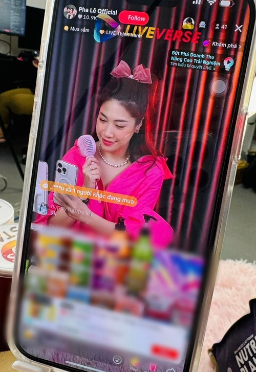 Pha Lê tập trung kinh doanh online.