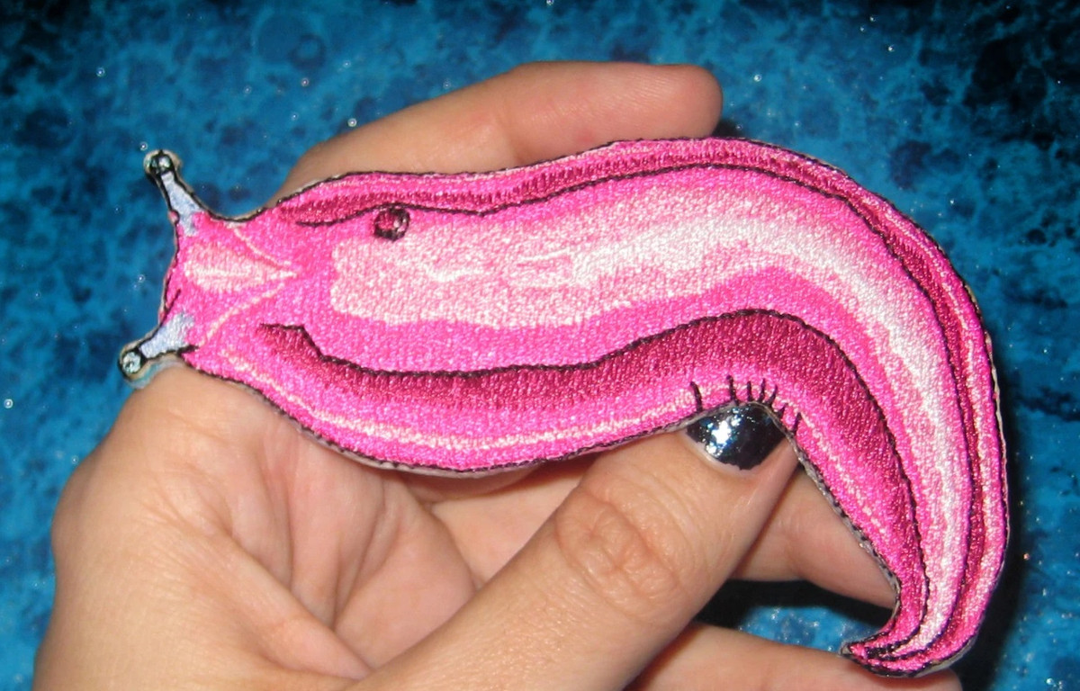 Sự biến mất của sên hồng không chỉ là mất mát về mặt đa dạng sinh học mà còn ảnh hưởng trực tiếp đến hệ sinh thái mà chúng đang góp phần duy trì. Vì vậy, các nhà khoa học và tổ chức bảo tồn vẫn đang tiếp tục nghiên cứu để tìm cách bảo vệ loài sinh vật kỳ lạ nhưng đầy giá trị này.