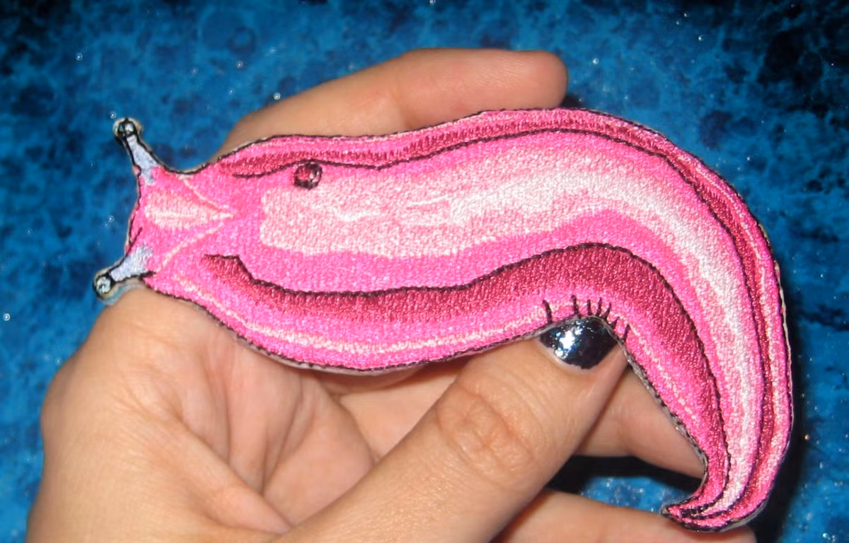 Sự biến mất của sên hồng không chỉ là mất mát về mặt đa dạng sinh học mà còn ảnh hưởng trực tiếp đến hệ sinh thái mà chúng đang góp phần duy trì. Vì vậy, các nhà khoa học và tổ chức bảo tồn vẫn đang tiếp tục nghiên cứu để tìm cách bảo vệ loài sinh vật kỳ lạ nhưng đầy giá trị này.