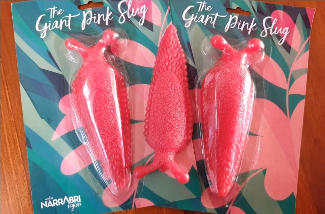 Tuy nhiên, với các mối đe dọa ngày càng gia tăng từ biến đổi khí hậu và cháy rừng, việc bảo vệ những sinh vật độc đáo như chúng là vô cùng quan trọng.