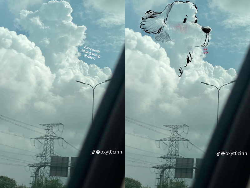 Chú cún làm bằng mây...