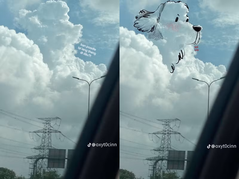 Chú cún làm bằng mây...