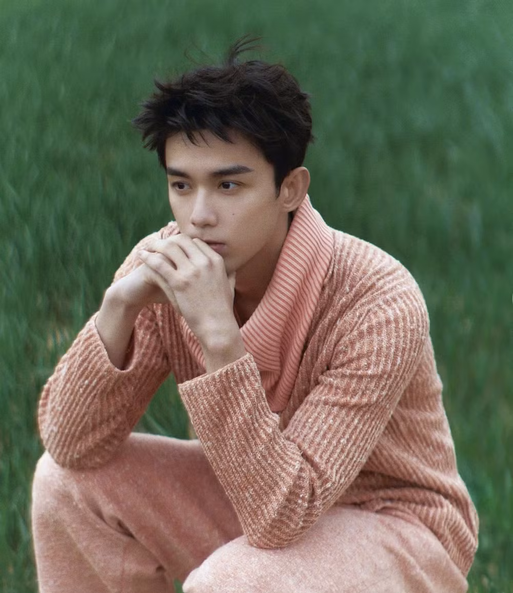 Trong vòng 4 năm trở lại đây, sự nghiệp Ngô Lỗi có bước đột phá. Anh chứng minh khả năng biến hóa trên màn ảnh qua nhiều loại vai đa dạng từ Vượt qua hỏa tuyến, Trường ca hành (ảnh) đến Tinh hán xán lạn…