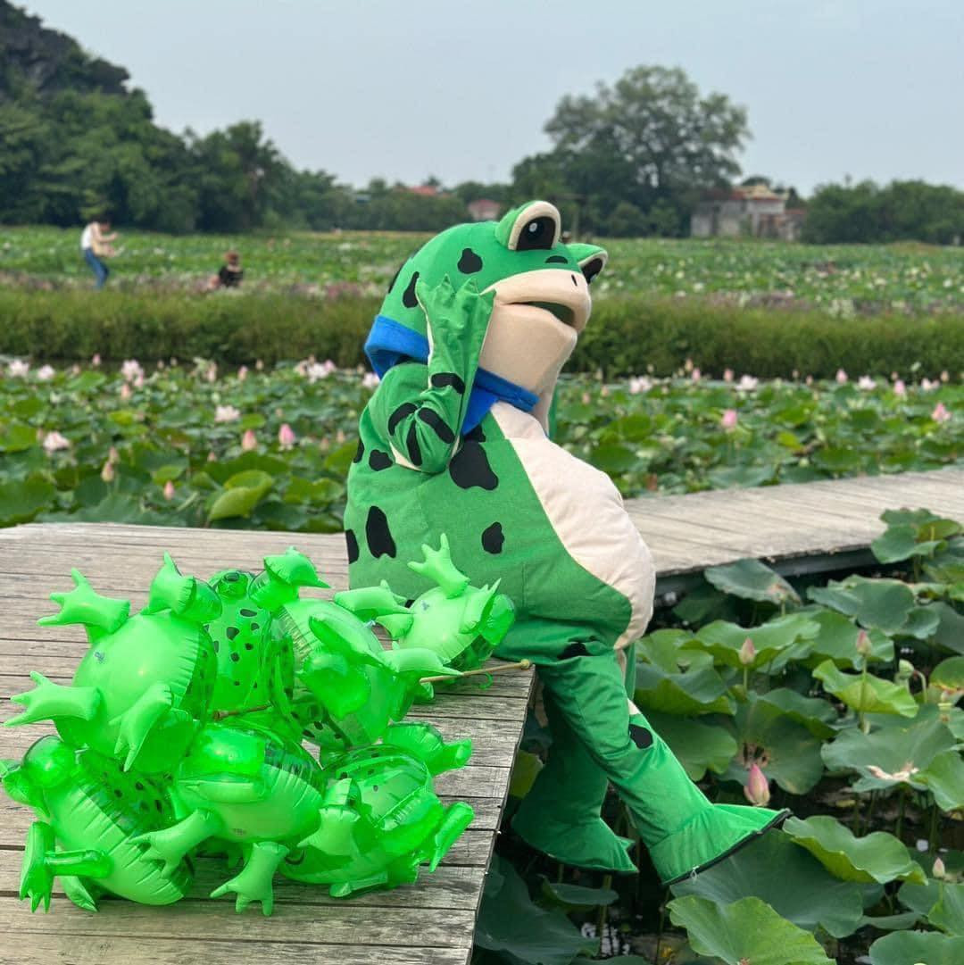 "Chú ếch" ngồi trên con đường gỗ giữa lòng hồ sen dưới chân núi Ngọa Long tạo dáng e thẹn.